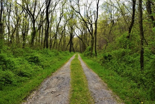 offleshandfeather:C &amp; O Canal National Historic Park &lt;3 