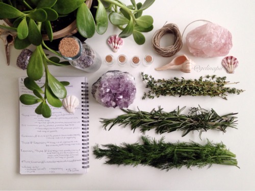 floralwaterwitch:I made some herbal bundles using fresh thyme, rosemary and dill weed ─ each created