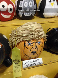 tastefullyoffensive:  Donald Trumpkin (photo