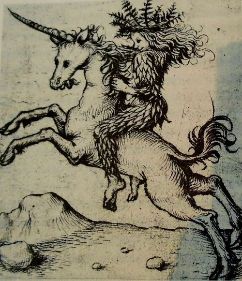 Wild Woman Riding A Unicorn From Am Unknown German Artist From 15th Century Known As The Master Of The