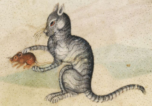 I has mowse Luttrell Psalter, England ca. 1325-1340.British Library, Add 42130, fol. 190r