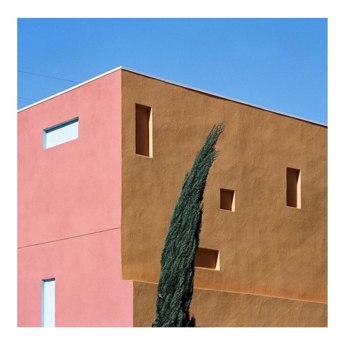 iylshowcase: On Instagram - Sinziana Velicescu 