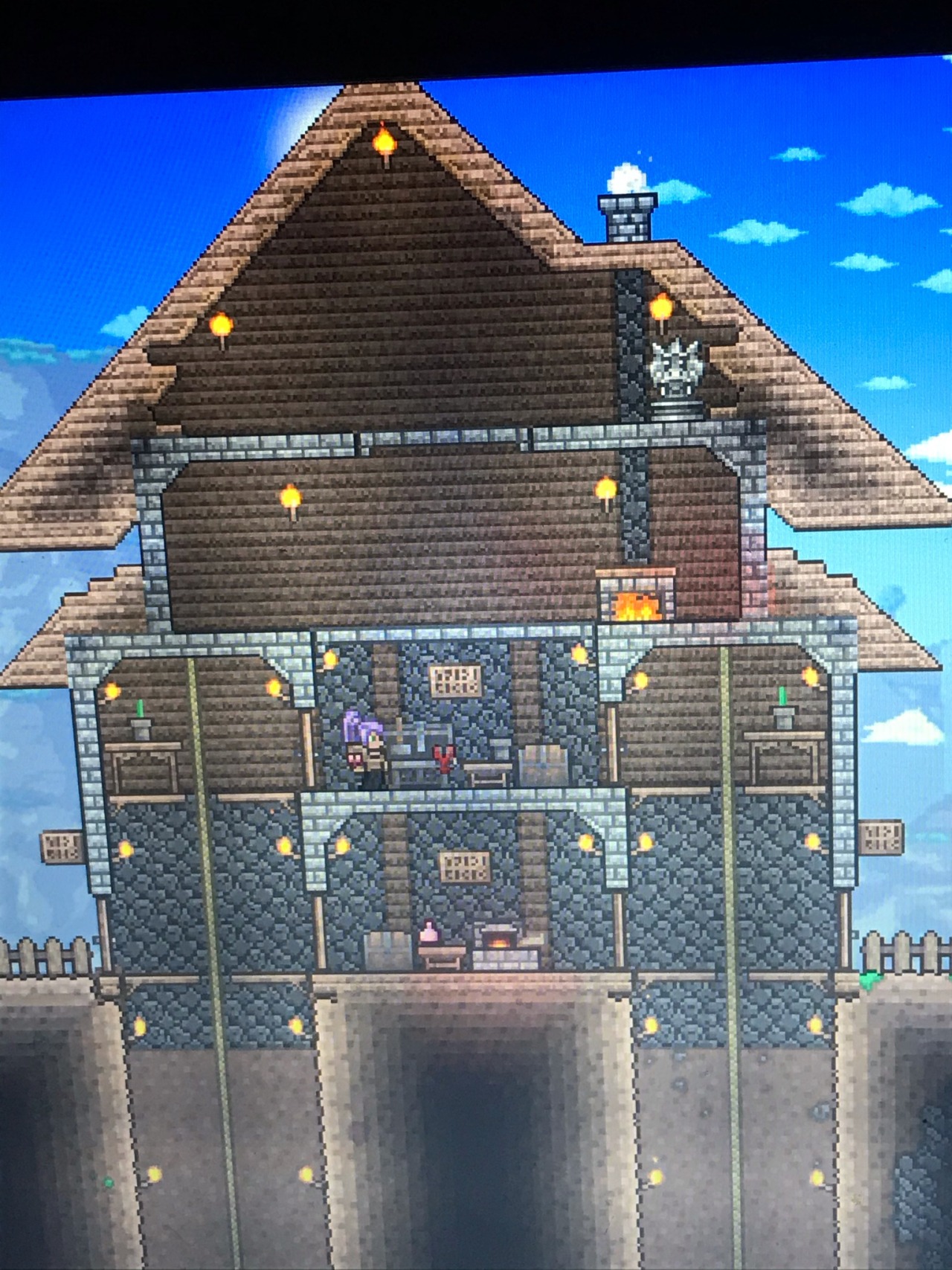 terraria houses