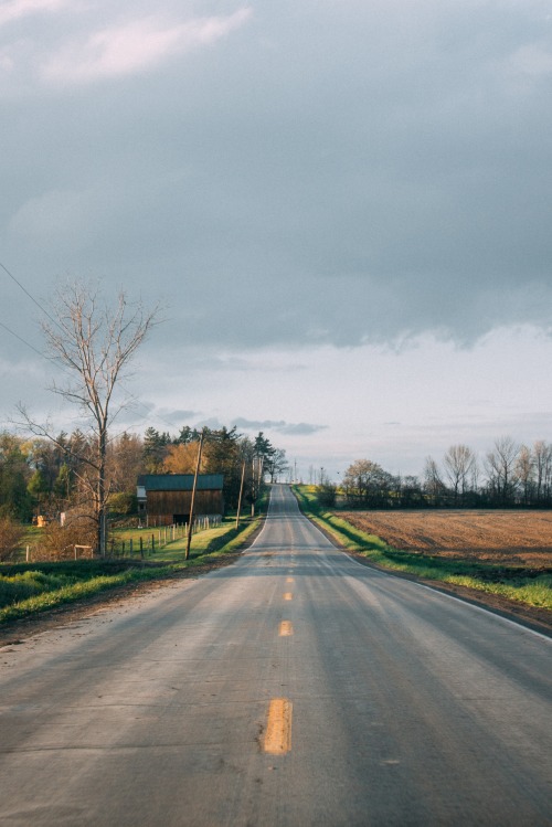 without-roots: shots from the road: friend hill