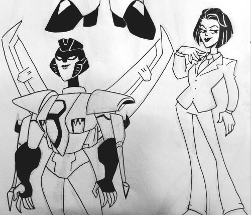 Humanformers: The Rogue Decepticons