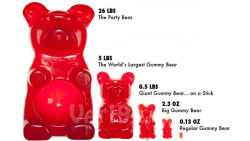  what about 26 lbs?  TOO MUCH GUMMY BEAR