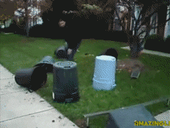 Bad timing for that kid lol