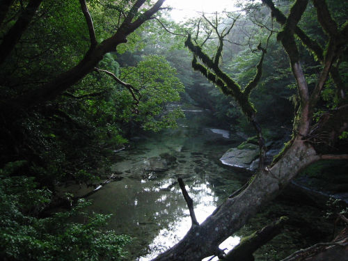 Miyanouradake @ Yakushima in Kagoshima ( 宮之浦岳) by Takashi Masuda