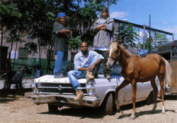 cracked:  This isn’t the cover of 2015’s hottest new mixtape — it’s the Fletcher Street Urban Riding Club in the middle of Philadelphia. They’re horse riding hobbyists based smack in the middle of some of the toughest neighborhoods in Philly.