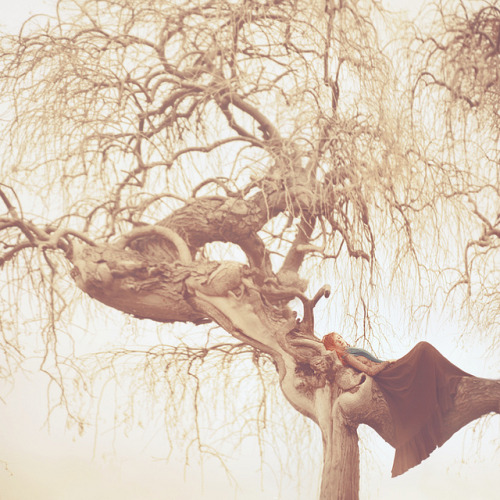 timefliestoday:  closer by oprisco on Flickr. 