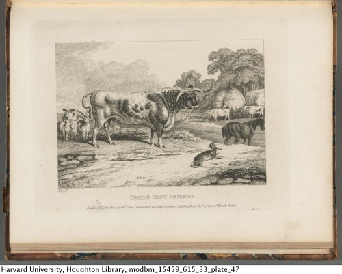 Howitt, Samuel, 1765?-1822. A new work of animals, principally designed from the fables of Aesop, Ga