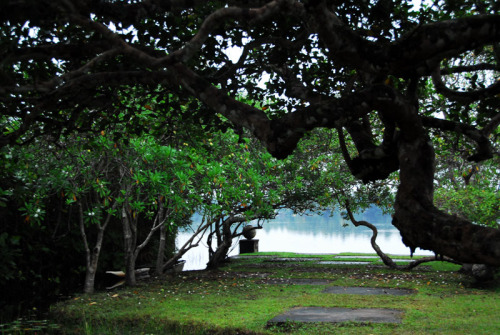 Lunuganga Estate, country home of renowned Sri Lankan architect Geoffrey Bawa