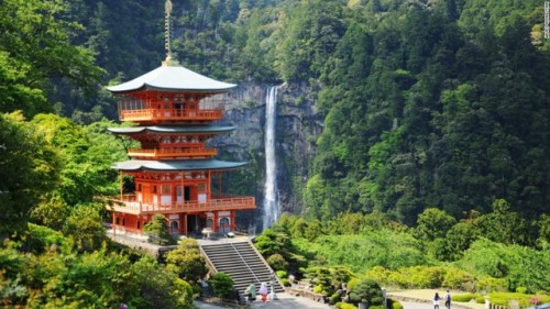 mysecretlife101: sixpenceee:  The Kumano Kodō is a series of ancient pilgrimage routes that crisscross the Kii Hantō, the largest Peninsula of Japan. These sacred trails were and are used for the pilgrimage to the sacred site “Kumano Sanzan” or