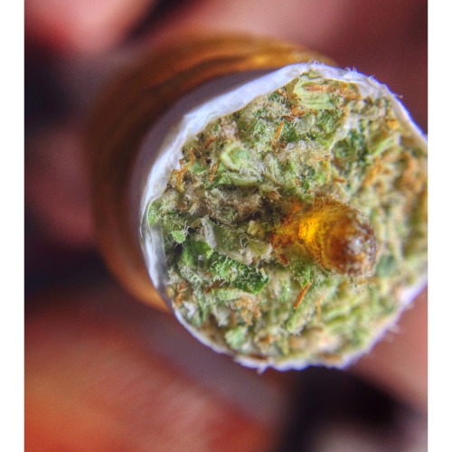 shesmokesjoints:  Some things just need to be set on fire 