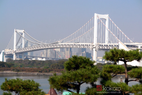 kokorojapanreisen:Rainbw Bridge, Tôkyô. 11.2013