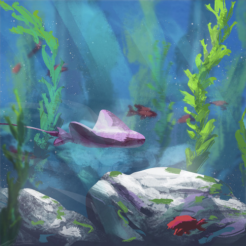 zandraart:joy in drawing aquarium livestream cams