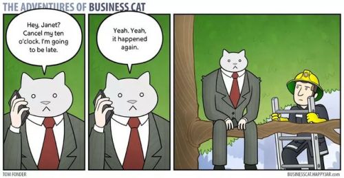 tomibunny:a-night-in-wonderland:The Adventures Of Business Cat#i like these cause it implies that de