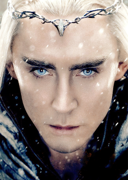 On this blog we worship Thranduil