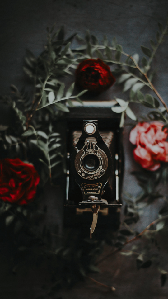 FLORAL I DON’T OWN OR TAKE ANY CREDIT FOR ANY OF THESE PICTURES PLEASE LIKE IF YOU SAVED ANY OF THESE