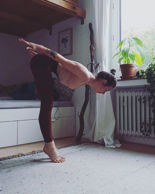 elephantsarevegan:As you might have noticed i started getting more into yoga again and it feels so g