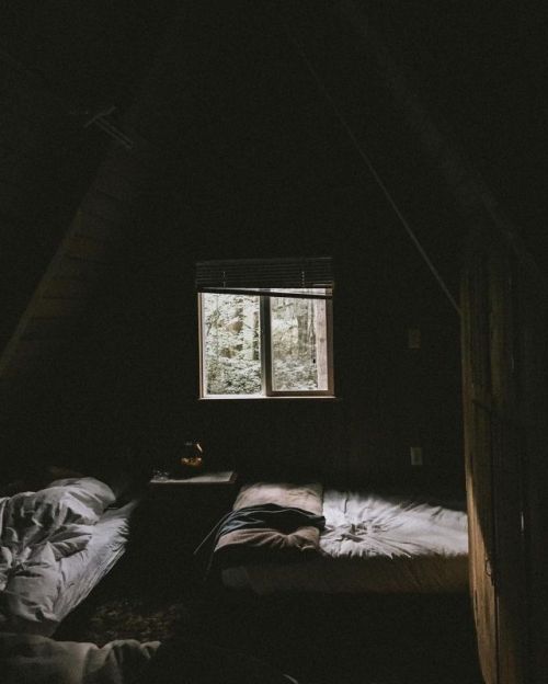 w–o–o–d–l–a–n–d:you and your love in this little wooden cabin. imagine it. beautiful.