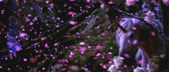 rocknrollfuldead:  click to trip balls 