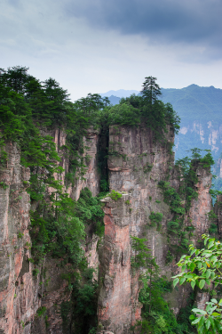 themountainsare:  _DSC0482 Tianzishan (天子山) mountain (Explore) by tu_geo