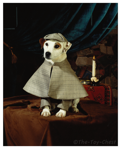 thosewerethe90s: callmekaters:  WISHBONE WAS SO LEGIT.  you know it 