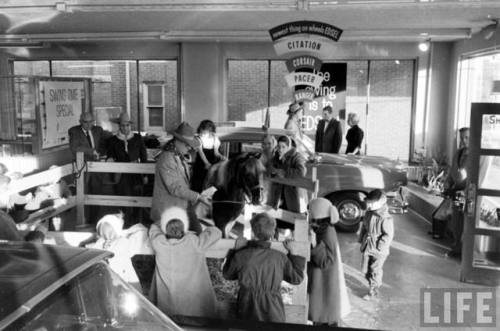 Ford dealership using pony rides to attract customers(Stan Wayman. n.d.)