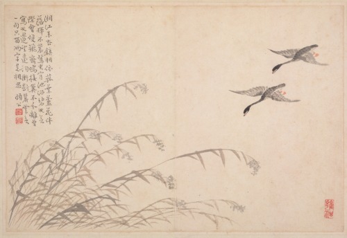 Album of Calligraphy and Paintings, Bian Shoumin, 18th Century, Cleveland Museum of Art: Chinese Art