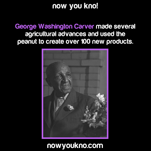teaforyourginaa:kemetic-dreams:nowyoukno:Now You Know more Black History Facts. (Source)Afrakan hist