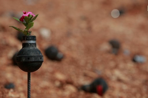 BILIN, West Bank (AP) — Residents of this Palestinian village have planted flowers in hundreds