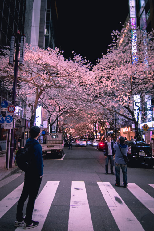 inefekt69:Yaesu Sakura Dori in Nihonbashi - Tokyo, Japan