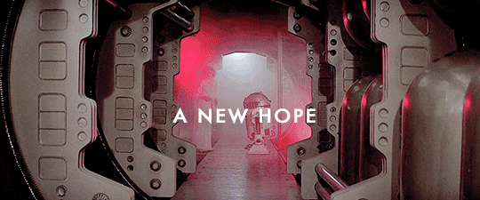 han-leia-solo:  Han &amp; Leia Appreciation Week Day 2: Carrie and/or Harrison