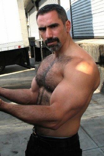 dad-is-home:  Dad Is Home: New Daddies &amp; Muscle Bears Every Hour:       