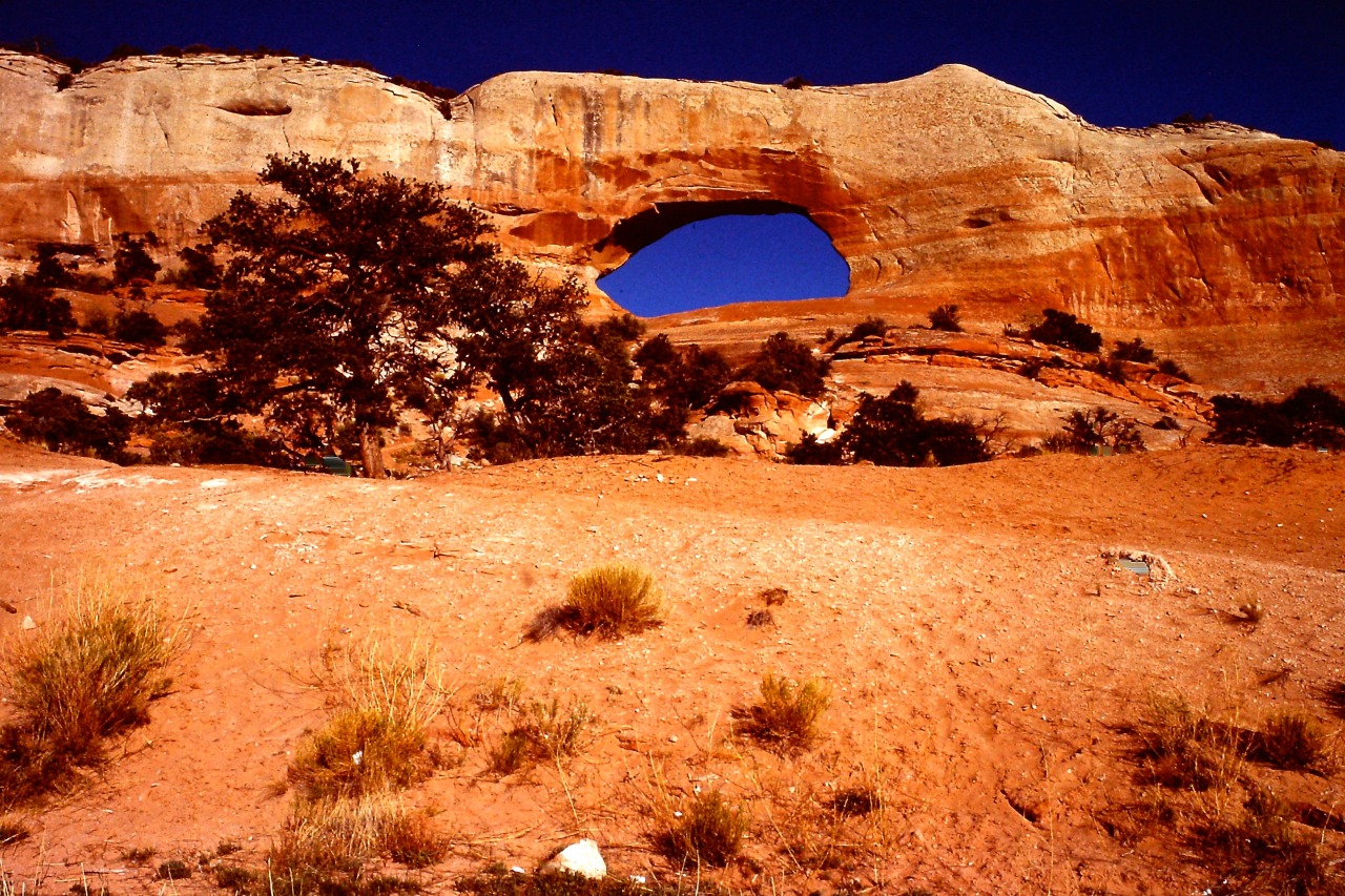 Window Rock, Arizona, 1977.