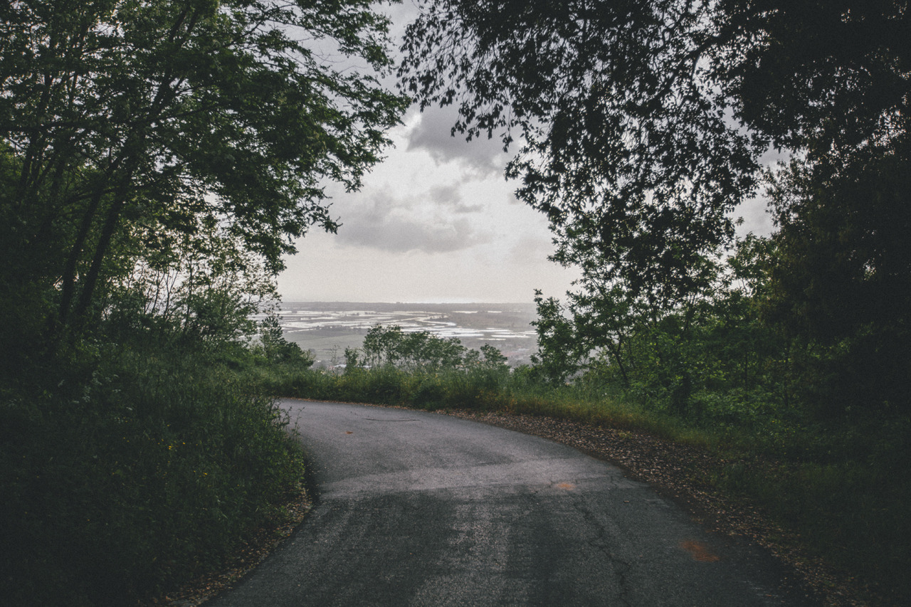 elenamorelli:  { the road to the nearest hill } 