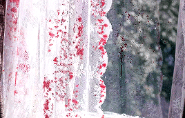 tumblr_pmk3y7c2Ut1uw43cfo4_r3_400.gif