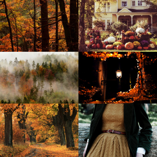 wingedwolves:  inspiration for autumn 