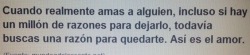 Deserve to be happy! Brindemos