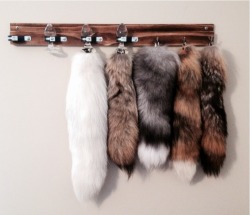 redheadedkitten:  his-kittens-thoughts:  cacophiliac:  iamwolffang:  Finished my tail hanger. Have a few more details to put in but it’s almost done.  hnnnnnnnnnnnnnng  I waaaant!!!  Uh jealous 