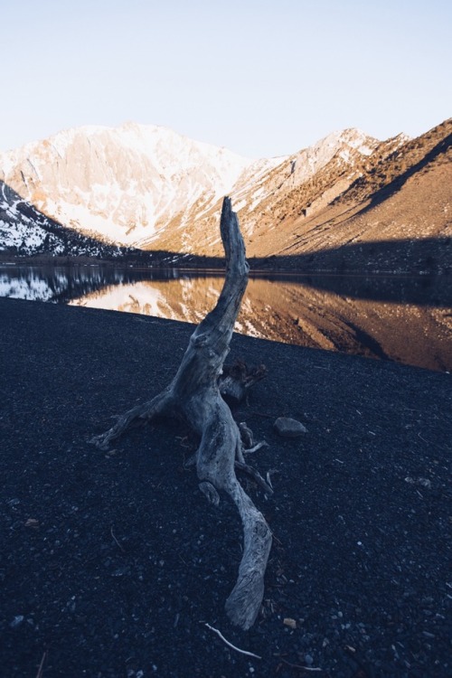 Eastern Sierras.