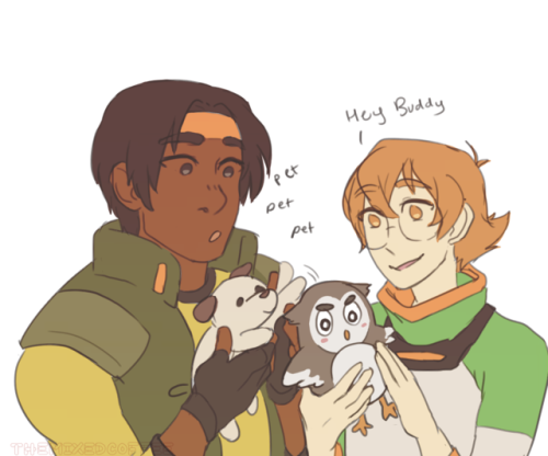 themixedcoffee:paladins + their respective animals! (as plushies) 