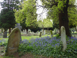 skull-designs: A little bit of heaven in Hillingdon.  Hillingdon &amp; Uxbridge Cemetery, London Borough of Hillingdon. 