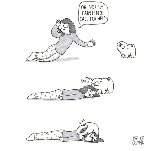 boredpanda:    20+ Adorable Comics That Hilariously Sum Up What It’s Like Living With A Dog (New Pics)  