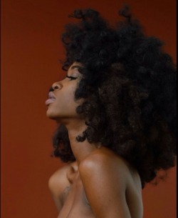 afrodesiacworldwide:  “♕ AFRODESIAC ETHNIC WOMEN OF CULTURE WORLDWIDE Nneka IG: @Africanjawn 