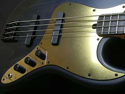 fuckyeahbassguitars:  Overwater bass