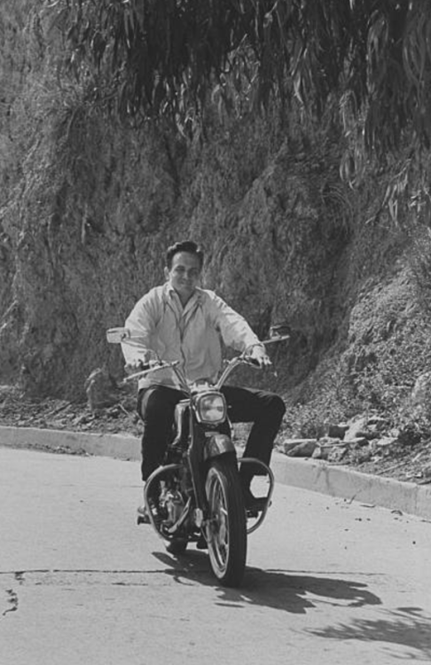 Roger Miller riding a motorcycle in the Hollywood Hills