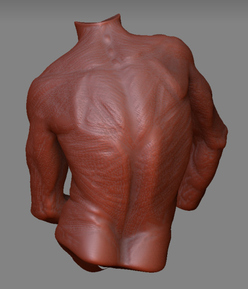 anatomicalart:fucktonofanatomyreferencesreborn:A wicked fuck-ton of human back references. [From