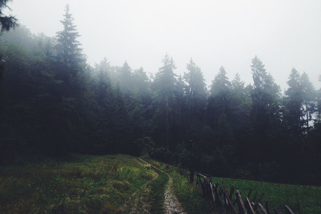 natureac:  This blog will make you feel at peace